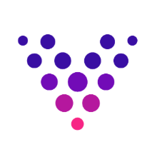 Vizit.co logo