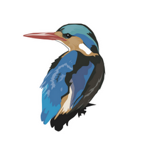 RealBird logo