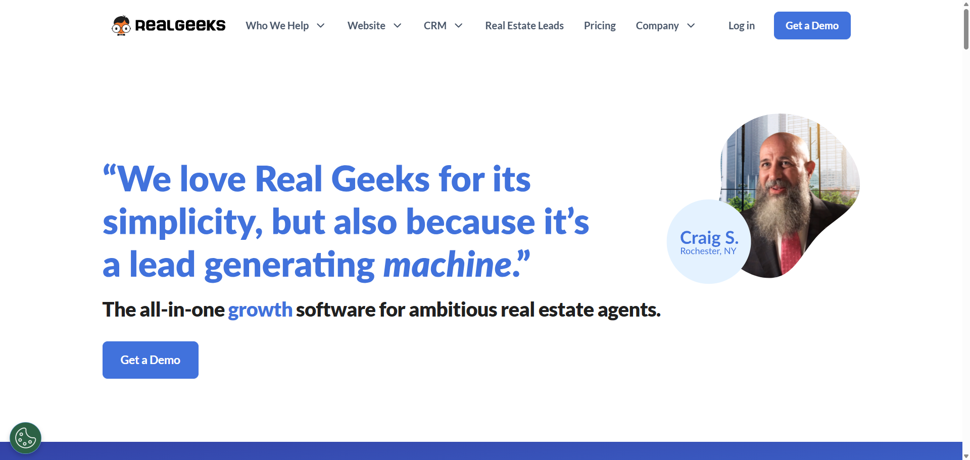 Real Geeks product preview